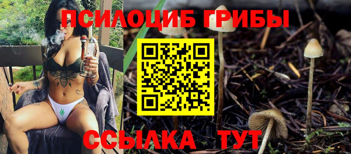 Сухой Лог  Псилоцибиновые грибы мицелий  Вход с VPN 