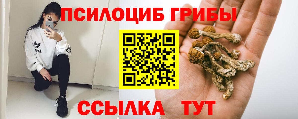 Псилоцибиновые грибы Psilocybe Сухой Лог